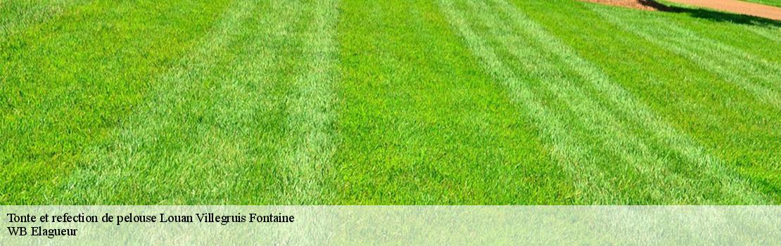 tonte-et-refection-de-pelouse  77560