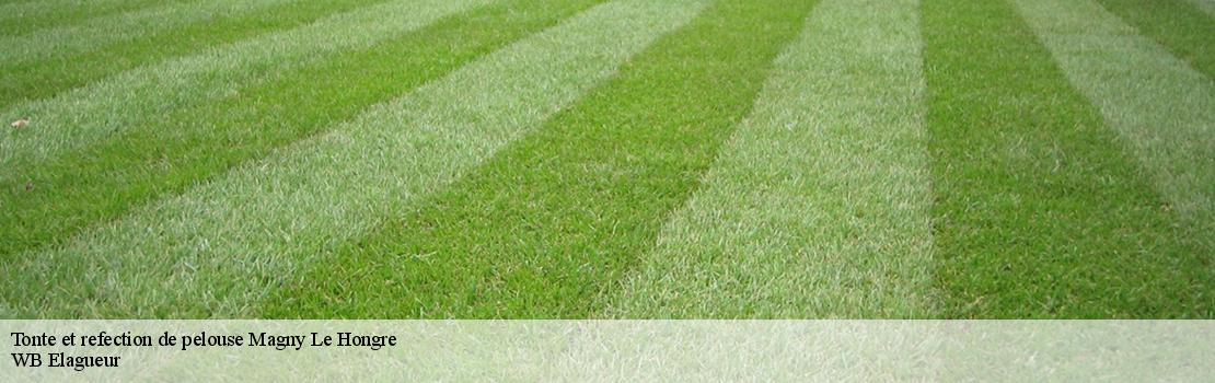 Tonte et refection de pelouse magny-le-hongre-77700 Mayer Elagage
