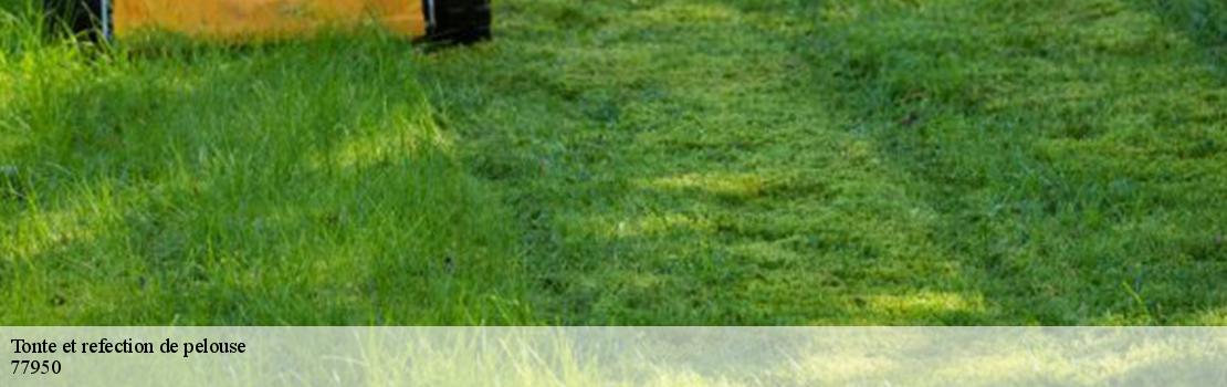 tonte-et-refection-de-pelouse 77950