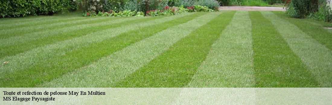 tonte-et-refection-de-pelouse 77145