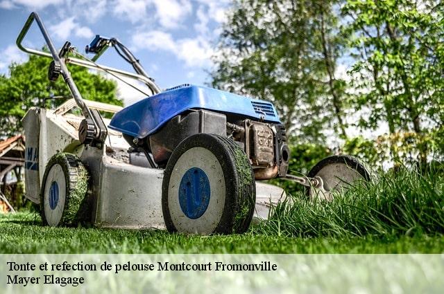 Tonte et refection de pelouse  montcourt-fromonville-77140 Mayer Elagage