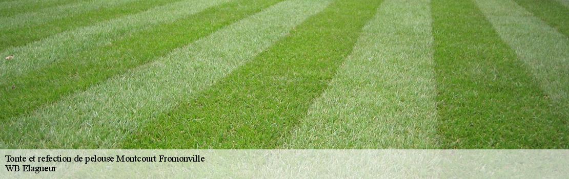 tonte-et-refection-de-pelouse  77140