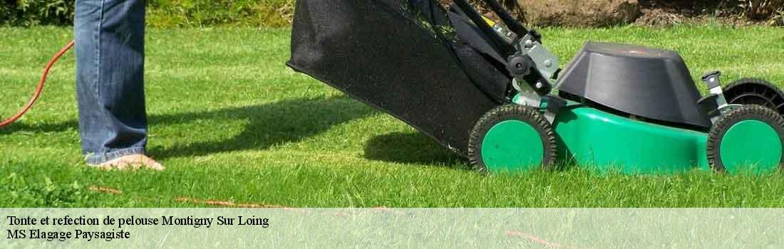 tonte-et-refection-de-pelouse  77690