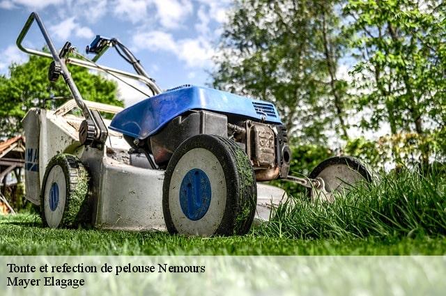 Tonte et refection de pelouse  nemours-77140 Mayer Elagage