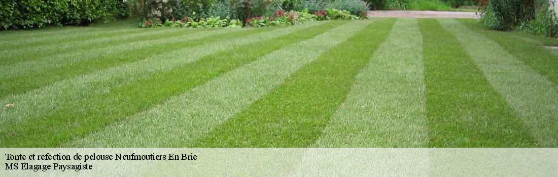 tonte-et-refection-de-pelouse 77610