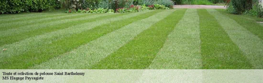 tonte-et-refection-de-pelouse  77320