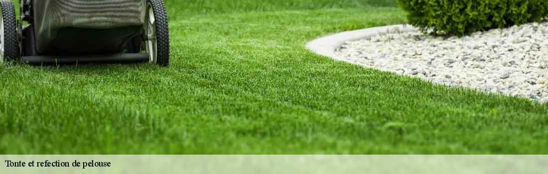 tonte-et-refection-de-pelouse 77160