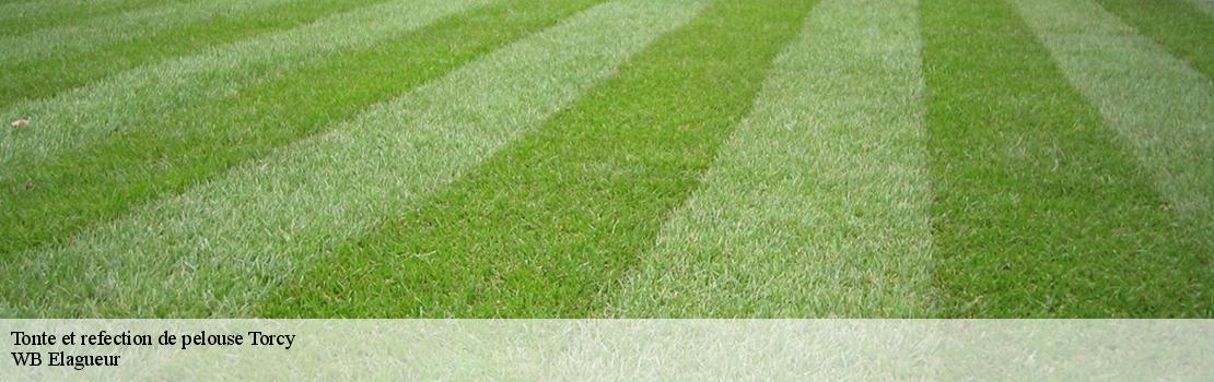 Tonte et refection de pelouse torcy-77200 Mayer Elagage