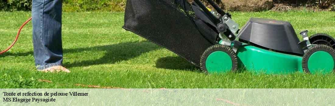 tonte-et-refection-de-pelouse 77250