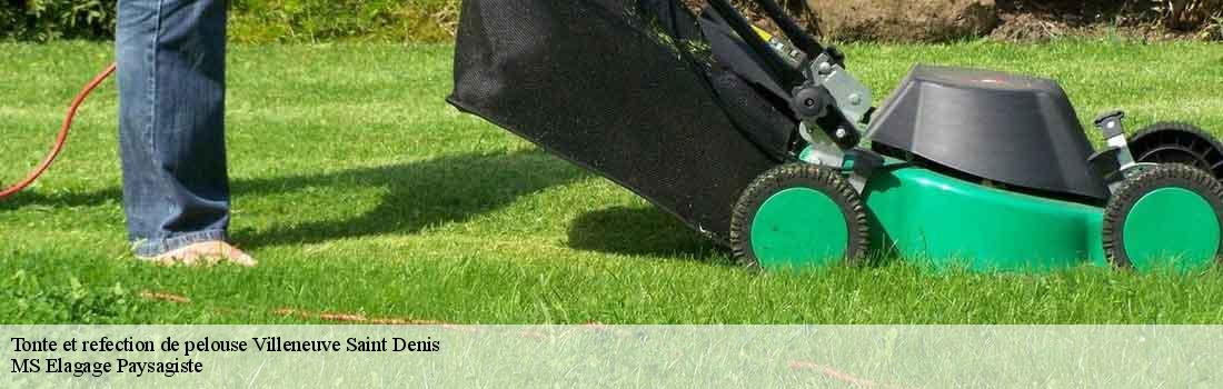 tonte-et-refection-de-pelouse  77174