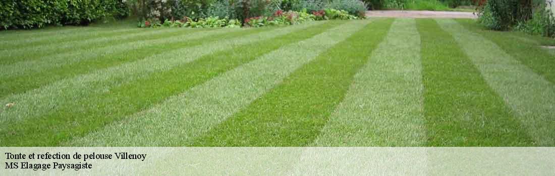 tonte-et-refection-de-pelouse  77124