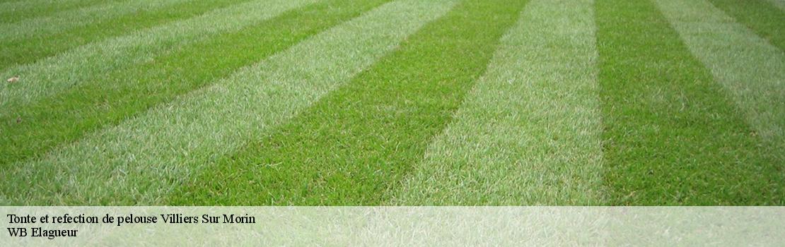 Tonte et refection de pelouse villiers-sur-morin-77580 Mayer Elagage