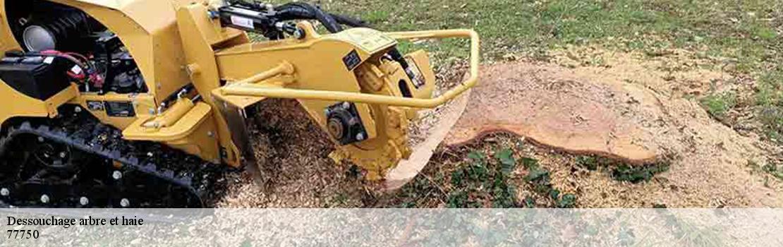 dessouchage-arbre-et-haie 77750