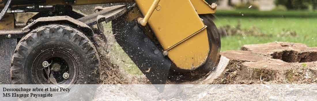 dessouchage-arbre-et-haie  77970