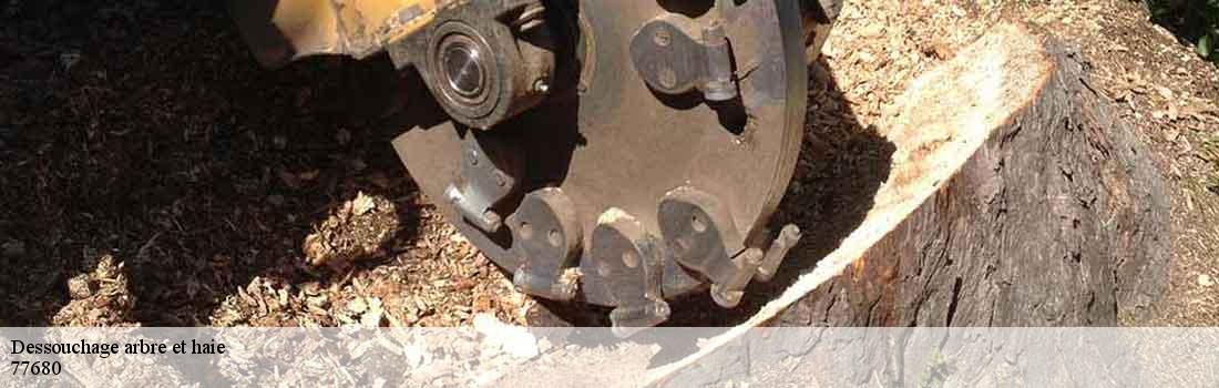 dessouchage-arbre-et-haie  77680