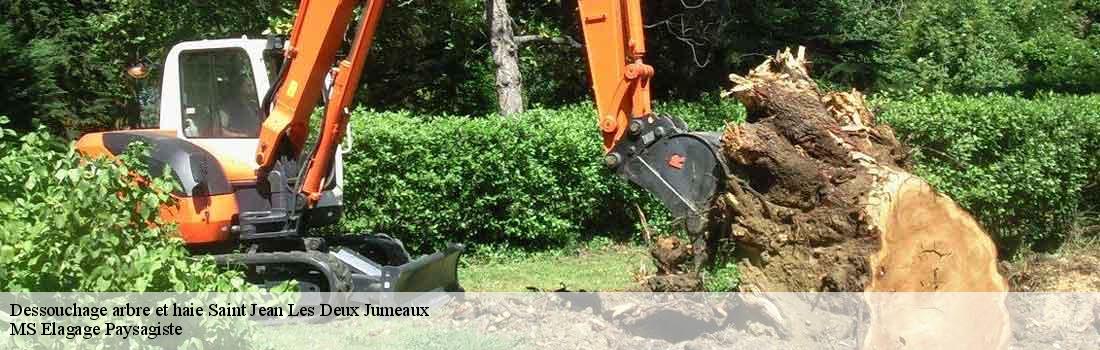 dessouchage-arbre-et-haie 77660