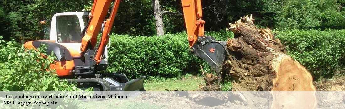 dessouchage-arbre-et-haie 77320