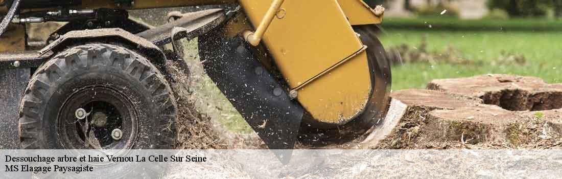 dessouchage-arbre-et-haie 77670