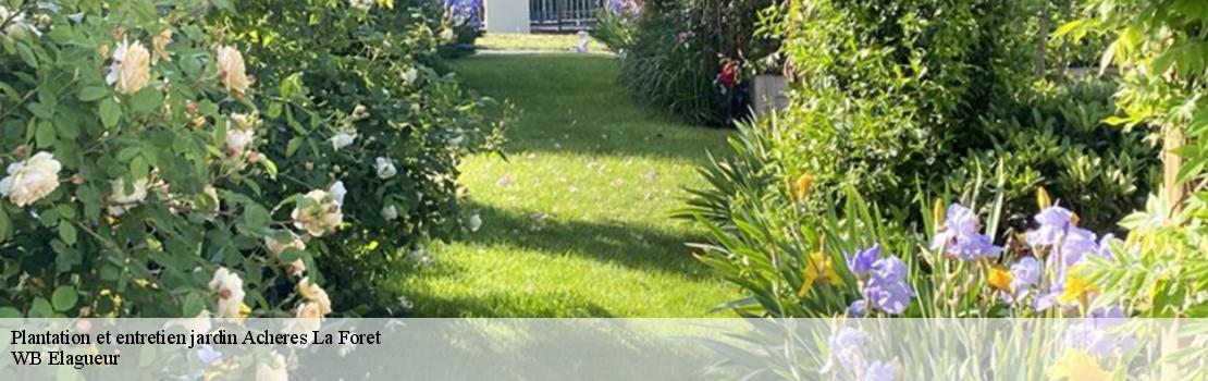 Plantation et entretien jardin  acheres-la-foret-77760 Mayer Elagage