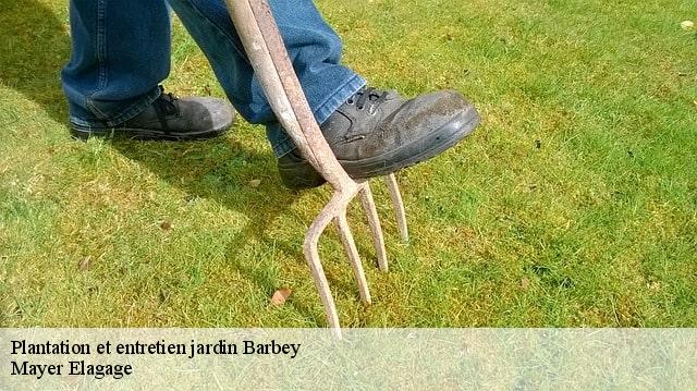 Plantation et entretien jardin  barbey-77130 Mayer Elagage