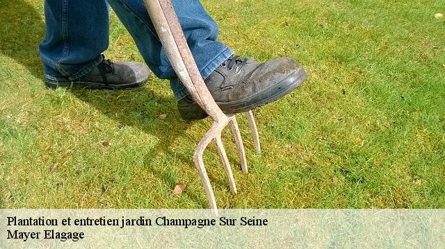 Plantation et entretien jardin  champagne-sur-seine-77430 Mayer Elagage