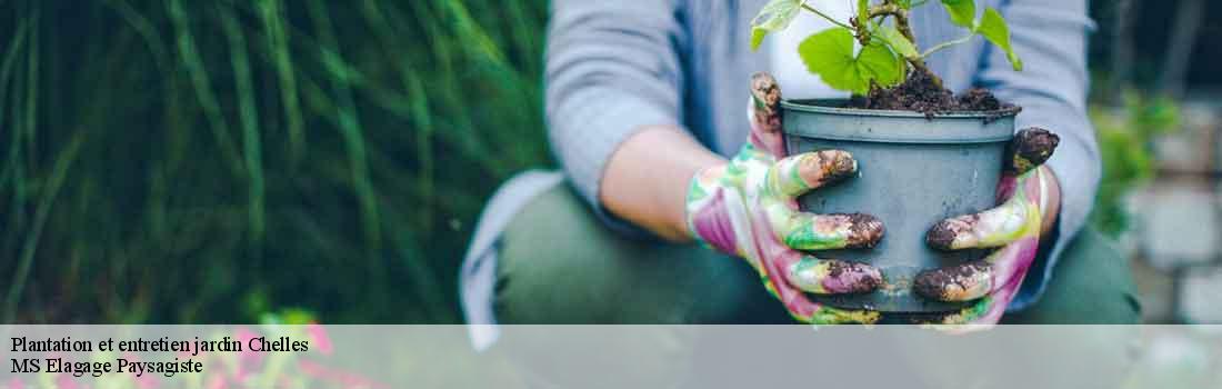 plantation-et-entretien-jardin 77500