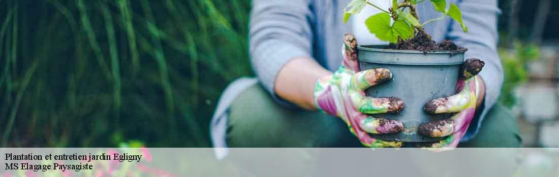 plantation-et-entretien-jardin 77126