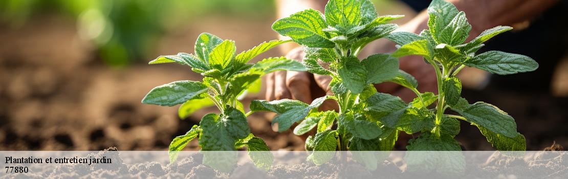 plantation-et-entretien-jardin 77880