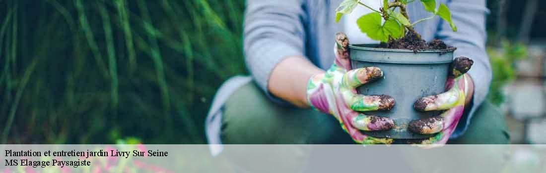 plantation-et-entretien-jardin  77000