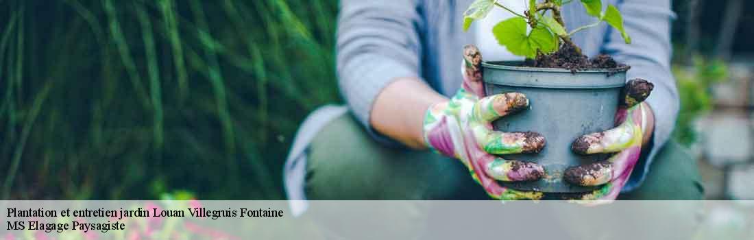 plantation-et-entretien-jardin  77560