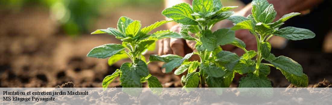 plantation-et-entretien-jardin 77133