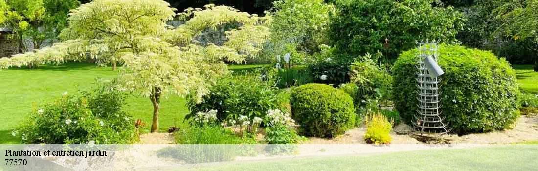 plantation-et-entretien-jardin 77570