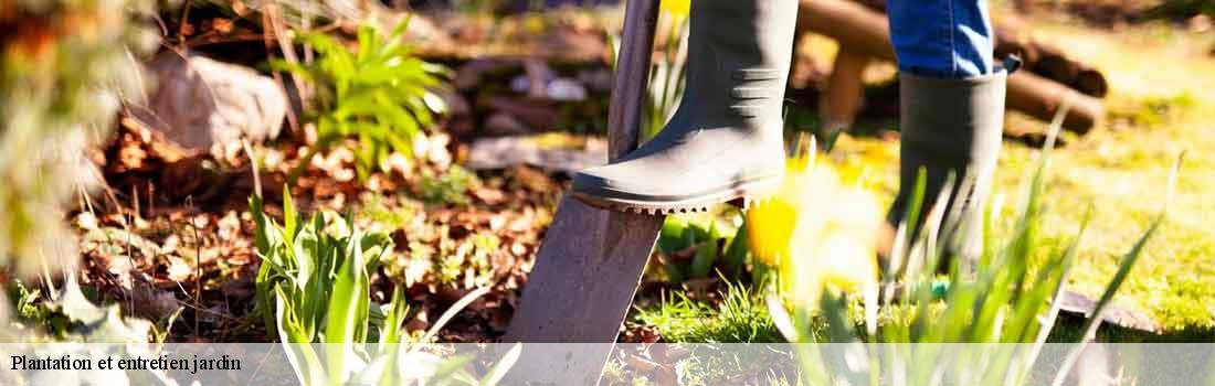 plantation-et-entretien-jardin 77320
