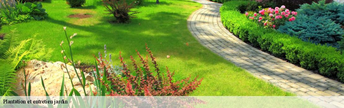 plantation-et-entretien-jardin 77124