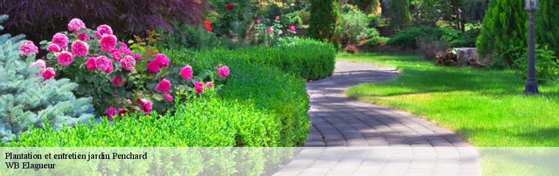 plantation-et-entretien-jardin 77124