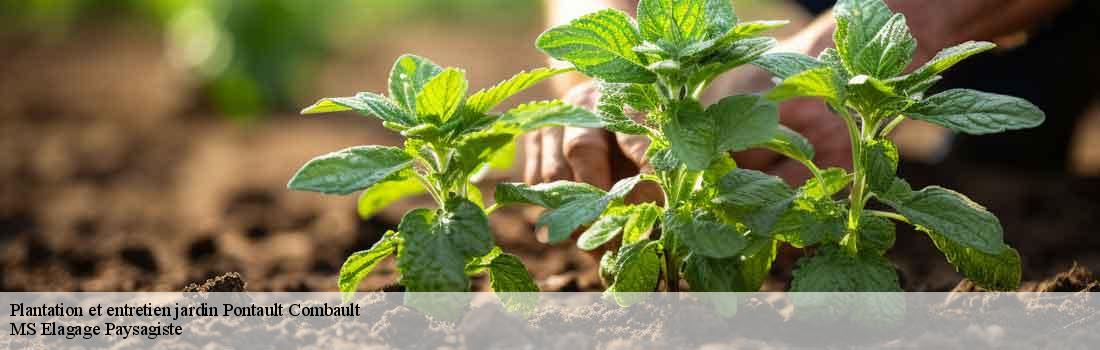 plantation-et-entretien-jardin  77340