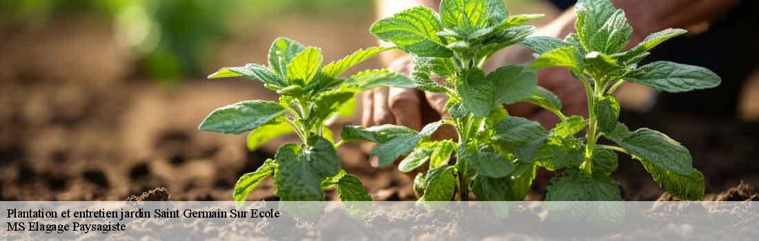 plantation-et-entretien-jardin  77930