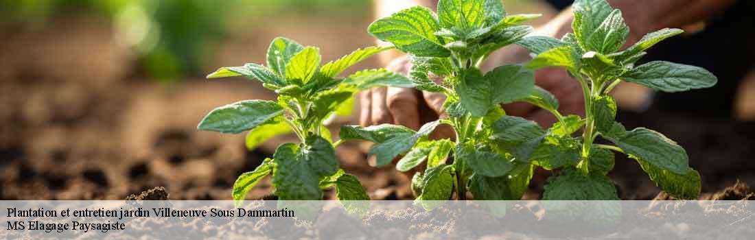 plantation-et-entretien-jardin  77230