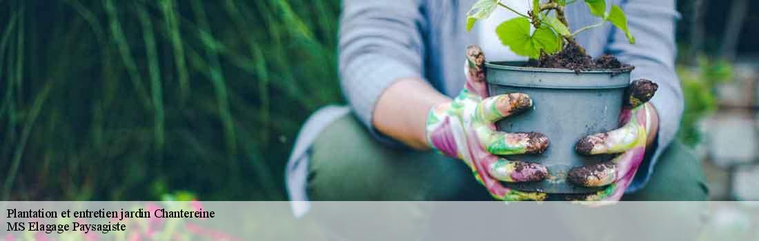 plantation-et-entretien-jardin  77500