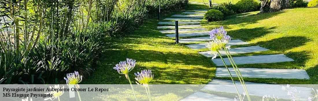 paysagiste-jardinier  77720