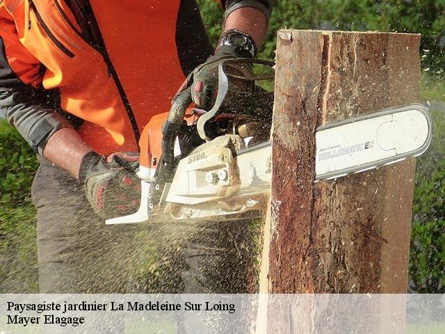 Paysagiste jardinier  la-madeleine-sur-loing-77570 Mayer Elagage