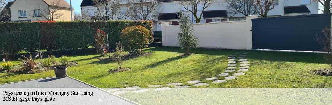 paysagiste-jardinier  77690