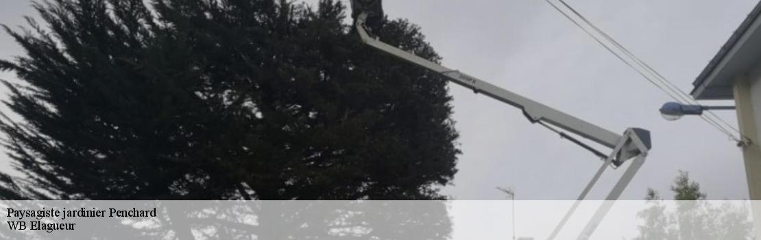 paysagiste-jardinier  77124