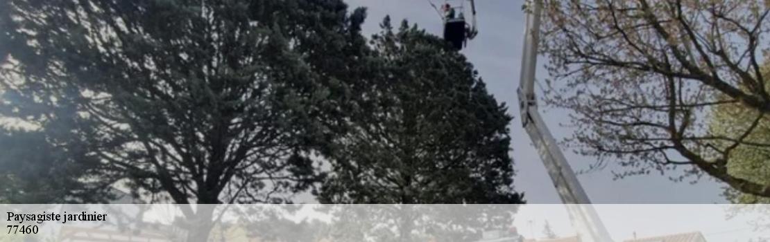 paysagiste-jardinier  77460