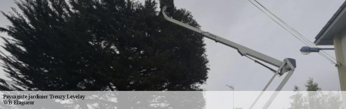 paysagiste-jardinier  77710