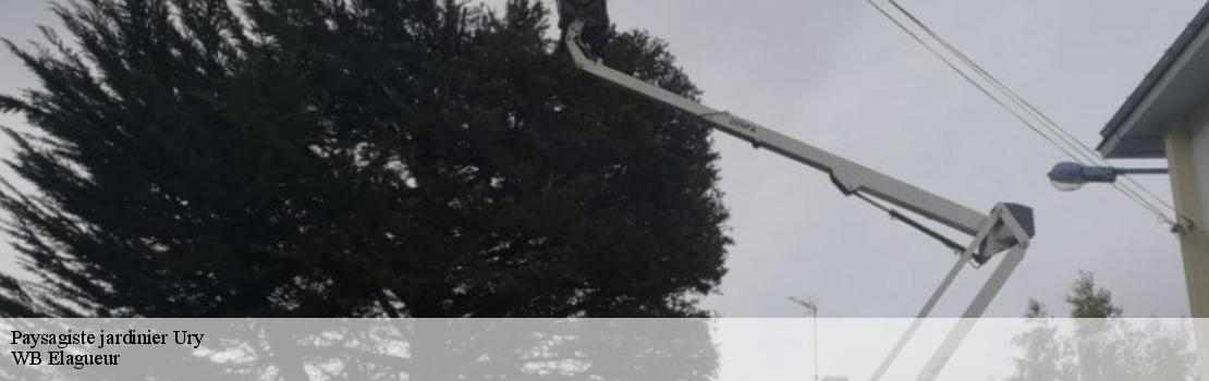 paysagiste-jardinier  77760