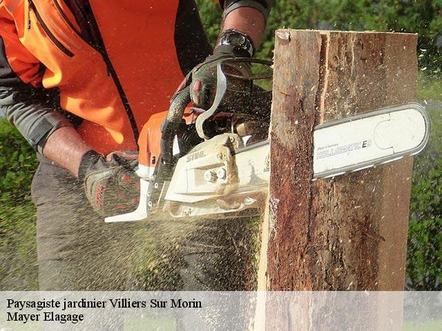 Paysagiste jardinier  villiers-sur-morin-77580 Mayer Elagage